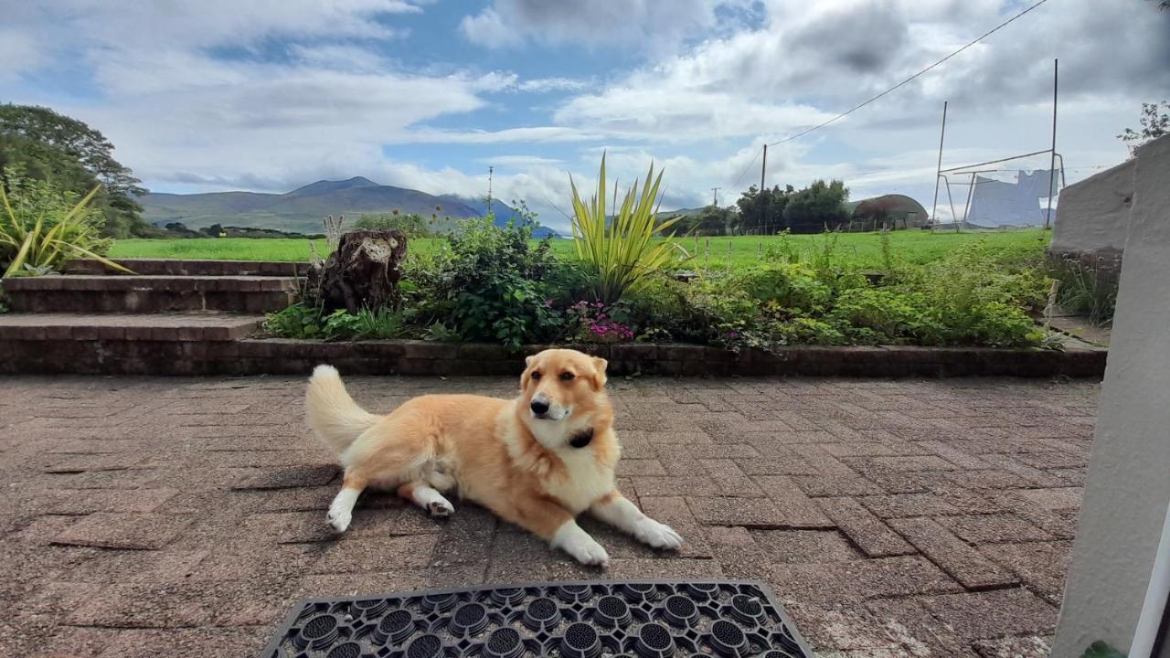 Inveraray Farm Beaufort Exteriér fotografie