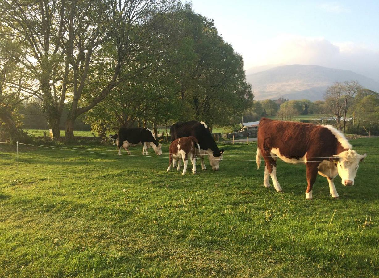 Inveraray Farm Beaufort Exteriér fotografie